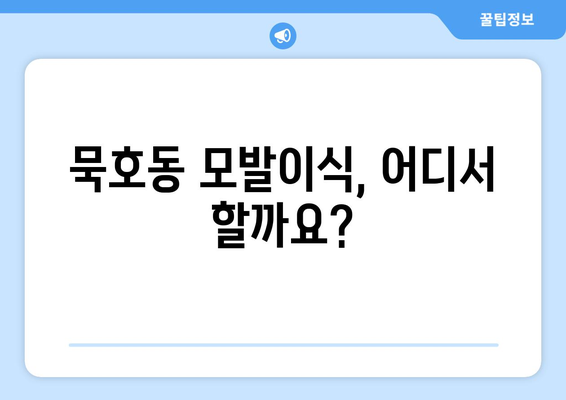 강원도 동해시 묵호동 모발이식|  믿을 수 있는 병원 찾기 | 모발이식, 탈모, 묵호동 병원, 강원도