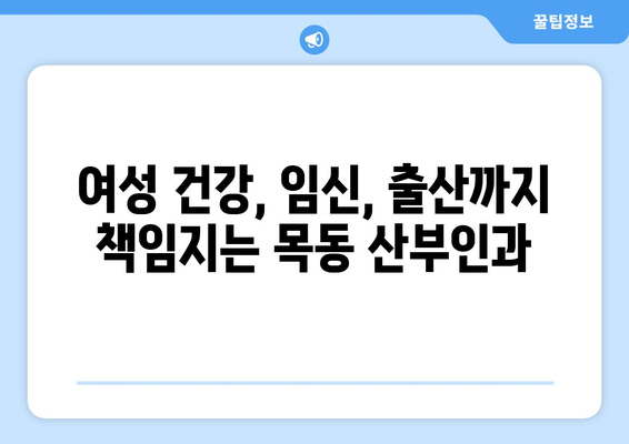 대전 중구 목동 산부인과 추천| 믿을 수 있는 의료진과 편안한 진료 환경을 찾아보세요 | 산부인과, 여성 건강, 임신, 출산, 여성 질환