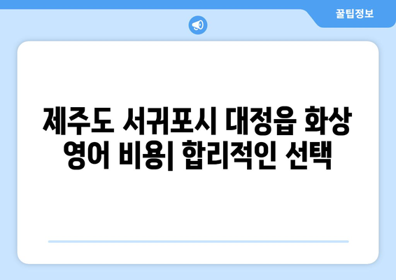 제주도 서귀포시 대정읍 화상 영어 비용| 합리적인 가격으로 영어 실력 향상시키기 | 화상영어, 영어 학원, 비용 비교