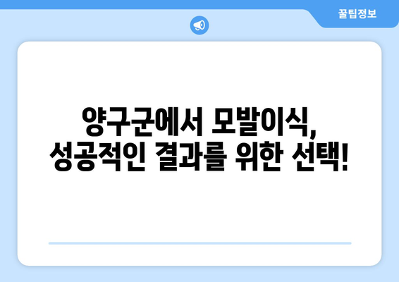 강원도 양구군 동면 모발이식 전문 병원 찾기| 후기, 비용, 추천 | 모발 이식, 탈모 치료, 양구군 병원