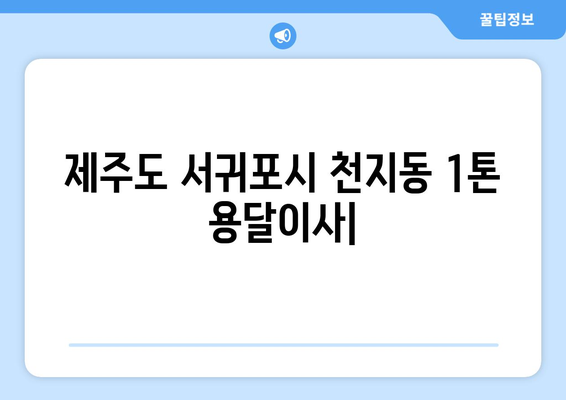 제주도 서귀포시 천지동 1톤 용달이사| 가격 비교 & 업체 추천 | 이삿짐센터, 용달, 견적