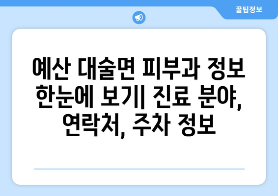 충청남도 예산군 대술면 피부과 추천| 믿을 수 있는 의료진과 편리한 접근성을 찾아보세요 | 예산, 대술, 피부과, 진료, 추천, 정보