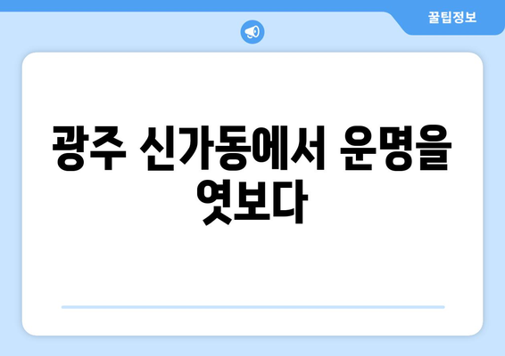 광주 광산구 신가동 사주 잘 보는 곳 추천 | 신가동 유명한 사주, 운세, 궁합,  신점