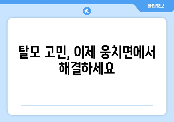 전라남도 보성군 웅치면 모발이식| 믿을 수 있는 병원 찾기 | 모발이식, 탈모 치료, 웅치면