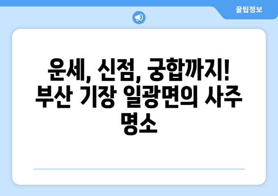 부산 기장 일광면에서 나에게 맞는 사주 명인 찾기 | 사주, 운세, 신점, 궁합, 부산 사주 잘 보는 곳