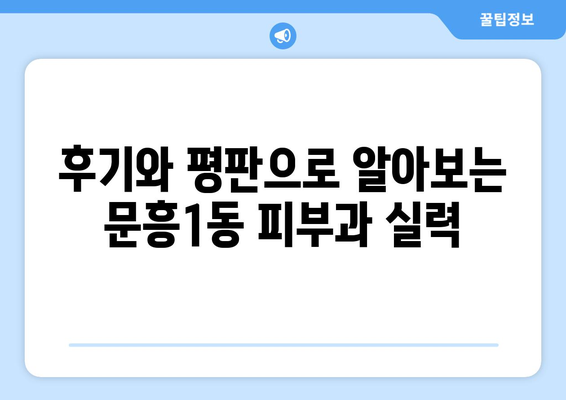 광주 북구 문흥1동 피부과 추천| 꼼꼼하게 비교하고 선택하세요 | 피부과, 추천, 문흥1동, 광주 북구