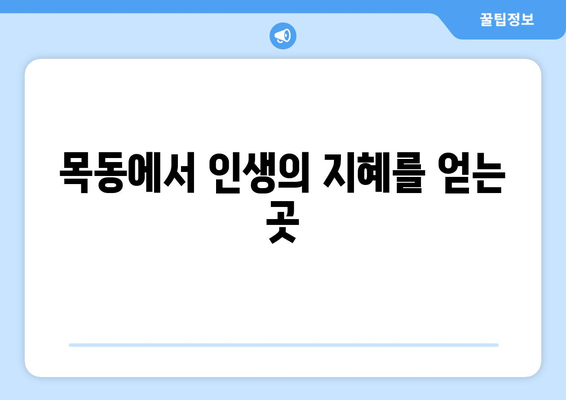 대전 중구 목동에서 신뢰할 수 있는 사주 잘 보는 곳 추천 | 대전 사주, 목동 사주, 운세, 궁합