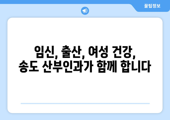 인천 연수구 송도1동 산부인과 추천| 믿을 수 있는 의료진과 편안한 진료 환경 | 송도 산부인과, 임신, 출산, 여성 건강